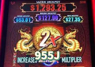 955J visual 2