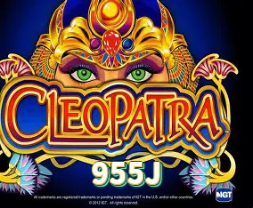 955J Aplicativo - 955J visual 1