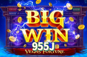 955J
